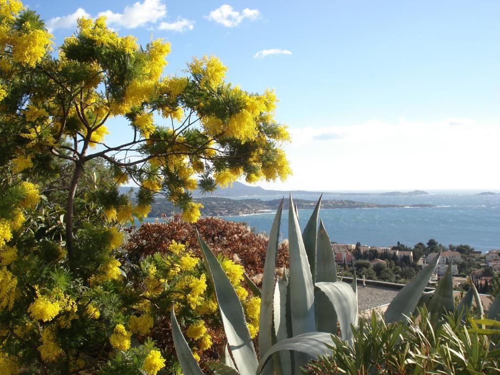 T2 Bandol Ideal Vacances 2 Etoiles Exterior foto