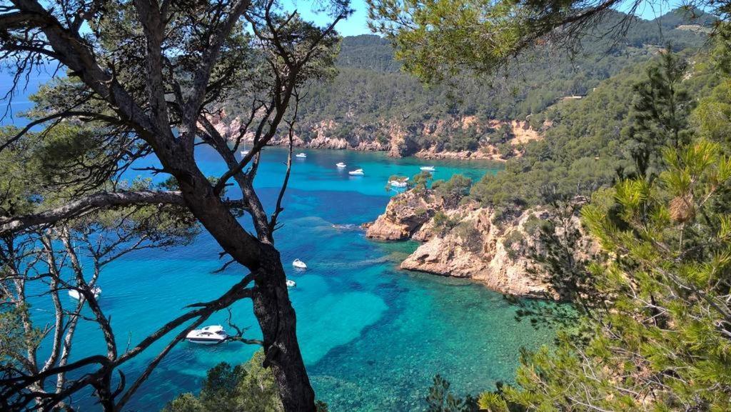 T2 Bandol Ideal Vacances 2 Etoiles Exterior foto